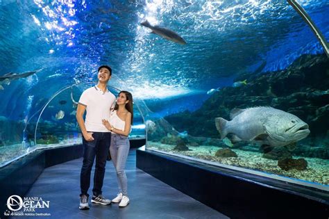 Manila Ocean Park E.